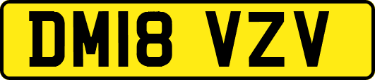DM18VZV