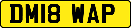 DM18WAP