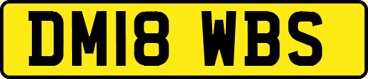 DM18WBS