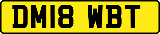 DM18WBT