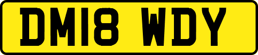 DM18WDY
