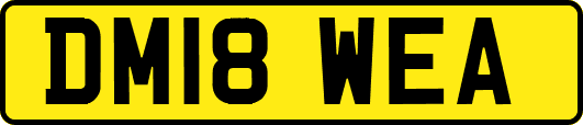 DM18WEA