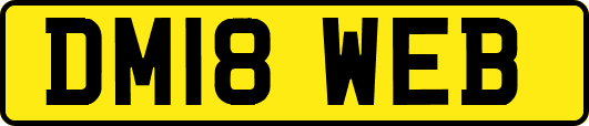 DM18WEB