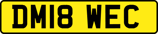 DM18WEC
