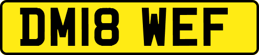 DM18WEF