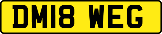 DM18WEG