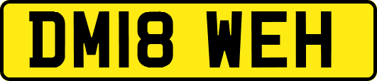 DM18WEH