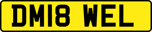 DM18WEL