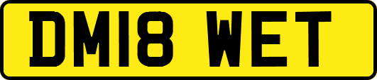 DM18WET