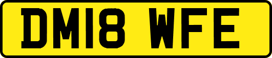 DM18WFE