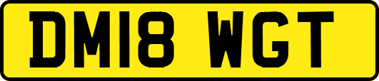 DM18WGT