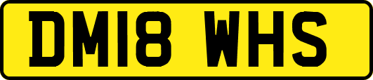 DM18WHS