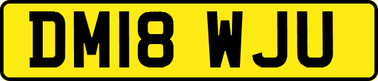 DM18WJU