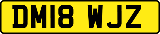 DM18WJZ