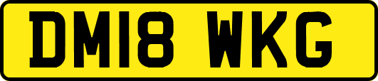 DM18WKG