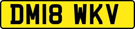 DM18WKV