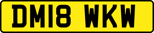 DM18WKW
