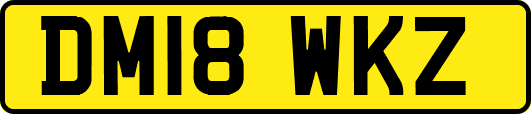 DM18WKZ