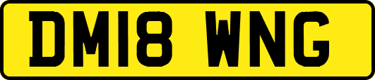 DM18WNG