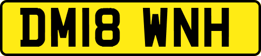 DM18WNH