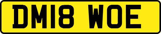 DM18WOE