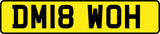 DM18WOH