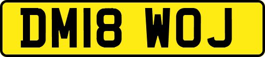DM18WOJ