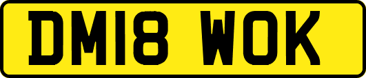 DM18WOK