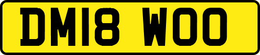 DM18WOO