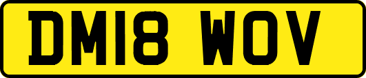 DM18WOV