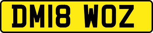 DM18WOZ