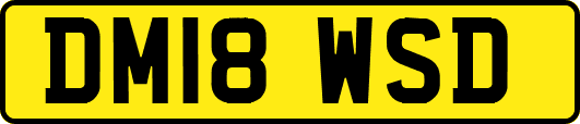 DM18WSD