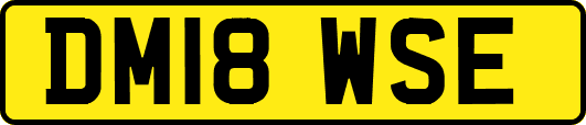 DM18WSE