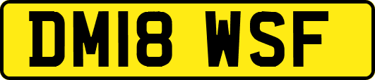 DM18WSF