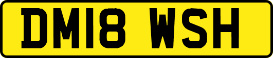 DM18WSH