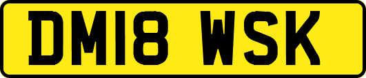 DM18WSK