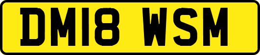 DM18WSM