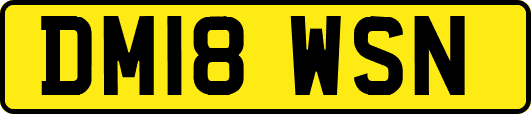 DM18WSN