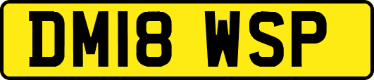 DM18WSP