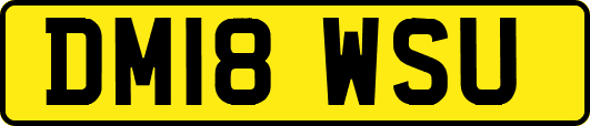 DM18WSU