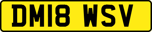 DM18WSV