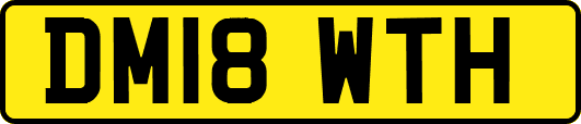 DM18WTH