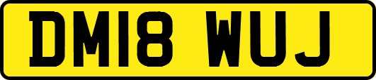 DM18WUJ