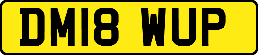 DM18WUP