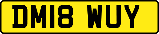 DM18WUY