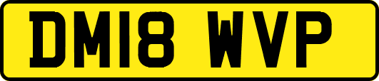 DM18WVP