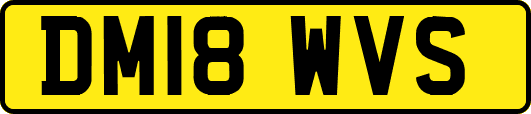 DM18WVS