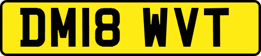 DM18WVT