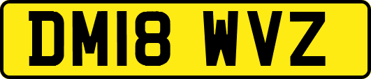 DM18WVZ