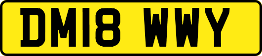 DM18WWY